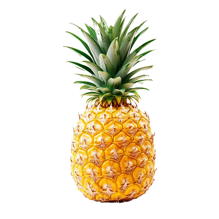 Ananas Pain de sucre