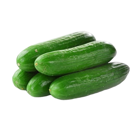 Concombre