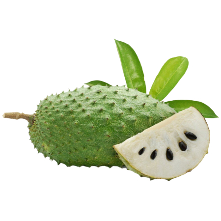 Corossol