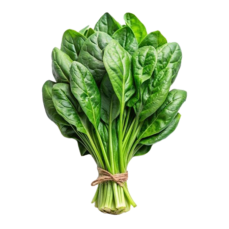 Épinard