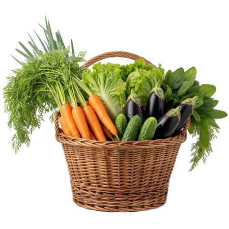 Panier 4 : Famille Moyenne