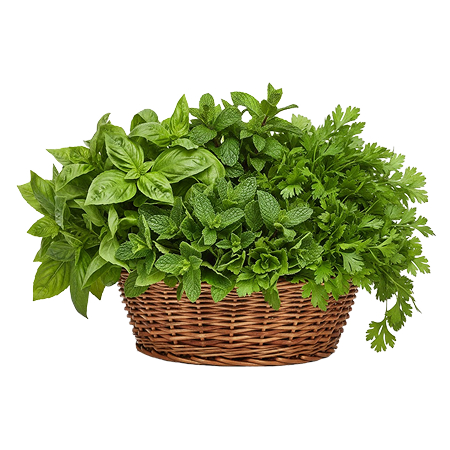 Panier 6 : Saveurs & Herbes